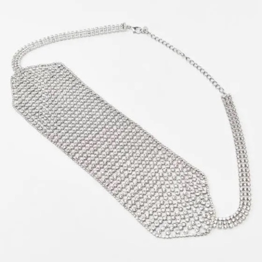 ZARA Rhinestone Belt - Picture 2 of 13